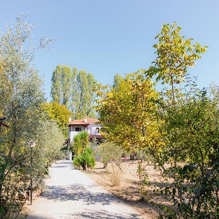 Diamond Farm Villa Kala Nera Zewnętrze zdjęcie