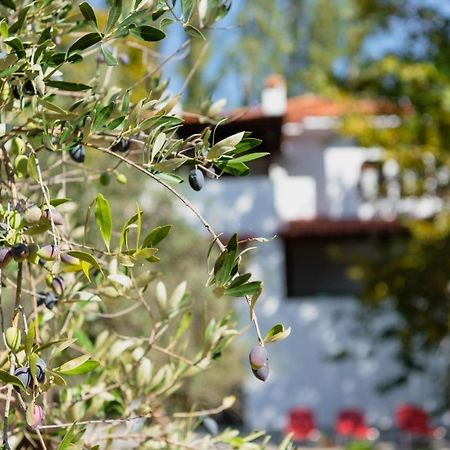 Diamond Farm Villa Kala Nera Zewnętrze zdjęcie