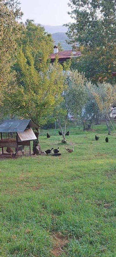 Diamond Farm Villa Kala Nera Zewnętrze zdjęcie