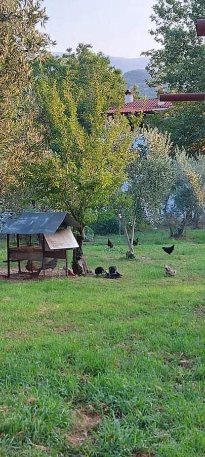 Diamond Farm Villa Kala Nera Zewnętrze zdjęcie