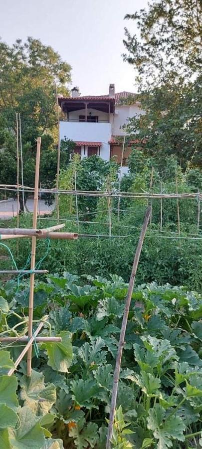 Diamond Farm Villa Kala Nera Zewnętrze zdjęcie