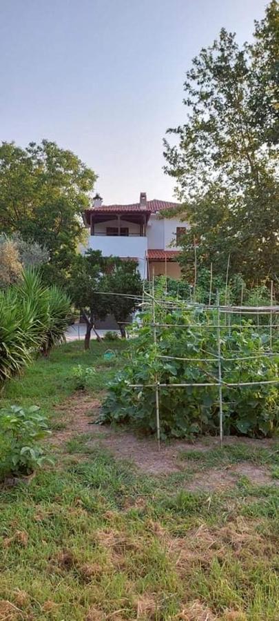Diamond Farm Villa Kala Nera Zewnętrze zdjęcie