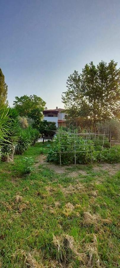 Diamond Farm Villa Kala Nera Zewnętrze zdjęcie