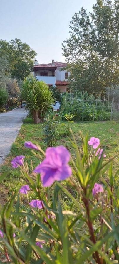Diamond Farm Villa Kala Nera Zewnętrze zdjęcie