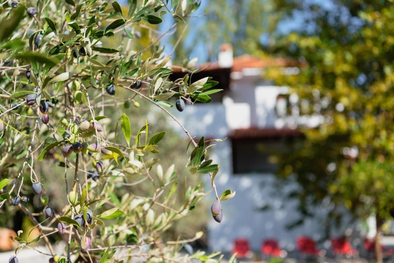 Diamond Farm Villa Kala Nera Zewnętrze zdjęcie